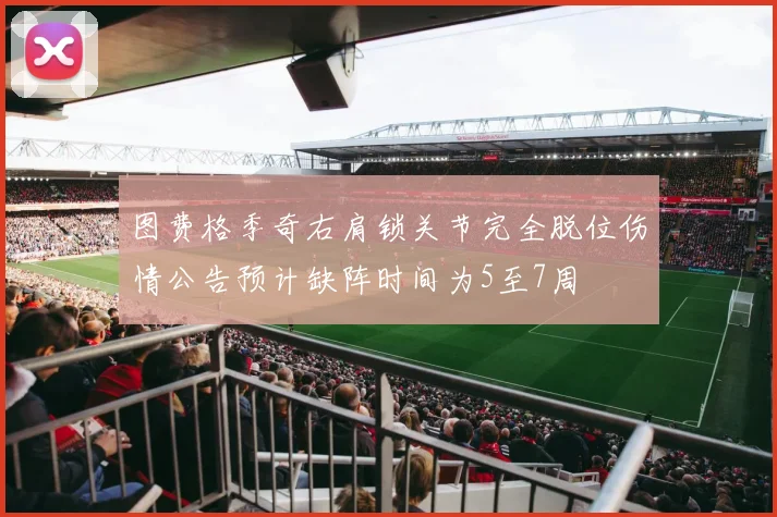 图费格季奇右肩锁关节完全脱位伤情公告预计缺阵时间为5至7周